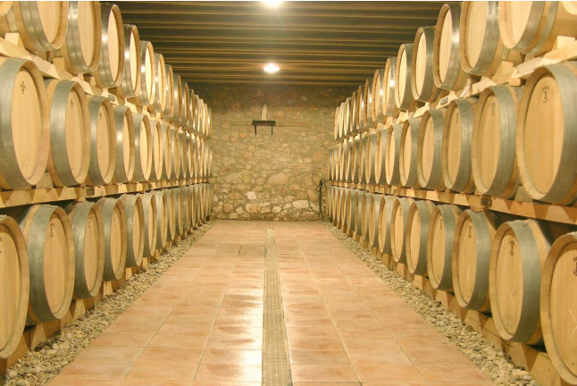 Escapada en el Iberik Rocallaura Balneari 4* con Spa, Cena y Visita al Celler Mas Foraster (Lleida y Tarragona)