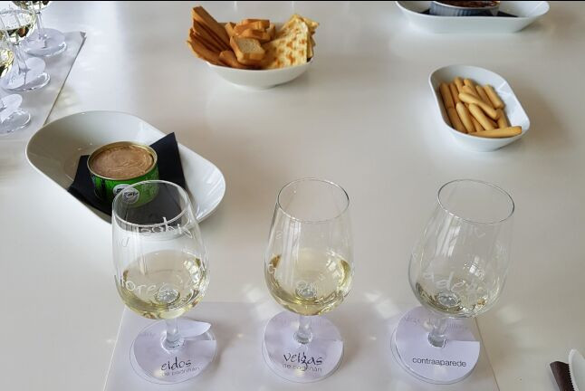 Escapada en Hotel Panadeiramar y Visita a Bodega, Degustación y Maridaje Gourmet en Adega Dos Eidos (Sanxenxo, Pontevedra)