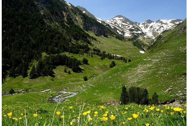 Escapada con Circuito Spa en Hotel Acevi Val D’Aran 4* (Vielha, Lleida)