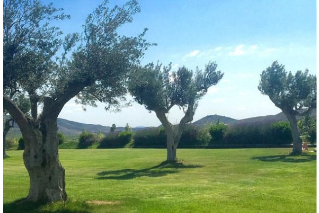 Escapada con Spa en Hotel Balneario de Grávalos 4* (Grávalos, La Rioja)