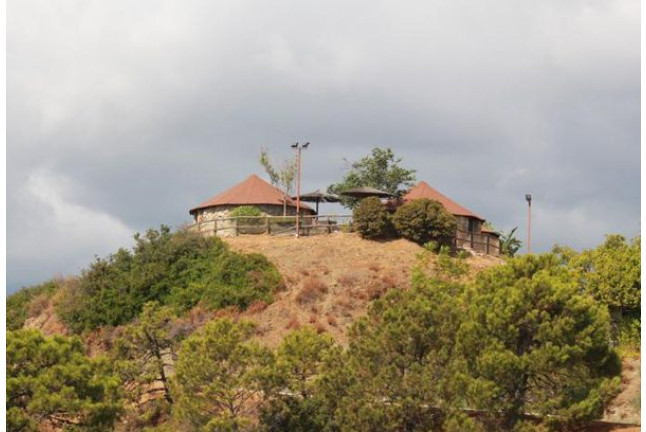 Entrada a Selwo Aventura, Visita Safari Serengueti y Hotel Selwo Lodge (Málaga)