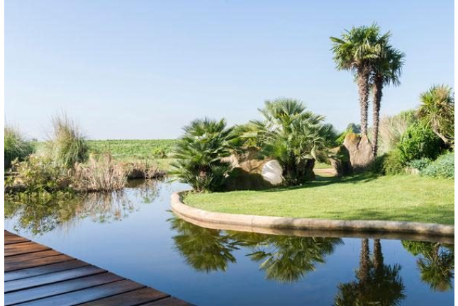 Escapada en Hotel con Spa en Can Bonastre Wine Resort (Masquefa, Barcelona)