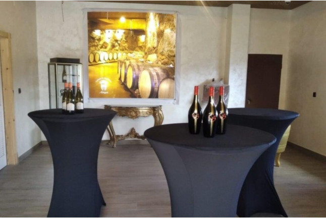 Visita a Bodega y Cata de Vinos para dos en Adegas Condado de Sequeiras de Ribeira Sacra (Chantada, Lugo) 