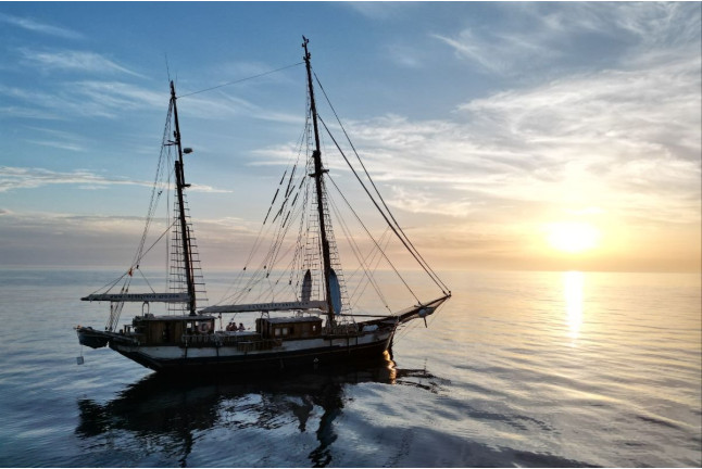 Atardecer en Velero Histórico Rafael Verdera con Menú y Bebidas (Palma de Mallorca, Mallorca)