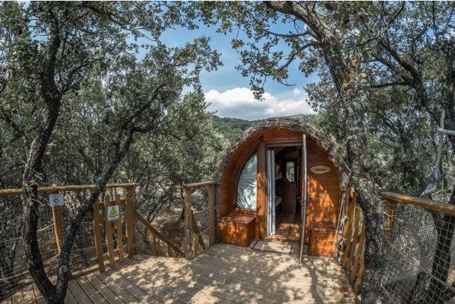 Noche en una Cabaña en el Árbol (Madrid)