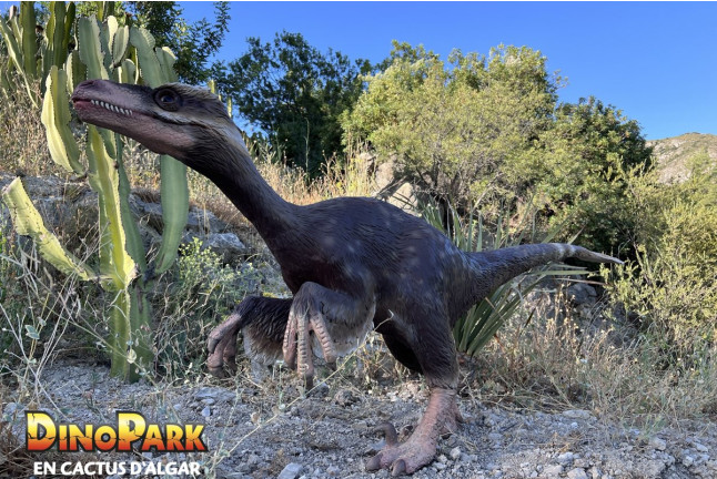 Entrada a DinoPark Algar (Alicante)
