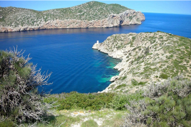 Excursión a la Isla de Cabrera con Snorkel (S'Arenal, Mallorca)