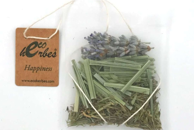 Entrada y Visita Guiada a Ecoherbes: Jardí Botanic (L'Ampolla, Tarragona)