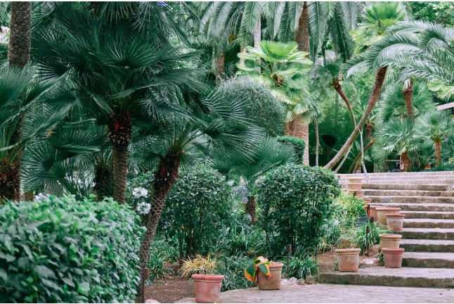 Jardines de Alfabia: Visita a la Casa, Jardines y al Huerto (Bunyola, Mallorca)