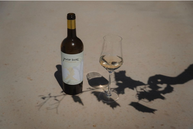 Visita Clásica o Premium a Bodega Javier Sanz Viticultor con Paseo por Viñedos y Cata de Vinos para dos (La Seca, Valladolid)