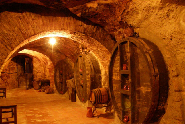 Jornada Enológica: Visita Bodega, Curso de Cata de Vino y Comida en Asador Castellano (Burgos)