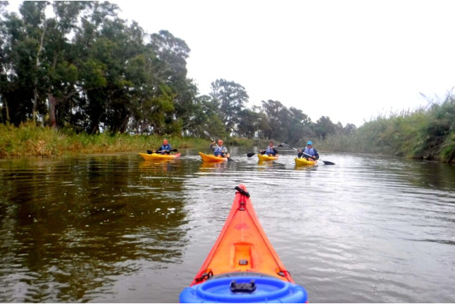 Ruta en Kayak por el Delta de l'Ebre y Comida para dos (Tarragona)