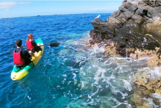 Excursión en Kayak y Snorkel con Fotos en Playa Los Cristianos (Arona, Santa Cruz de Tenerife)