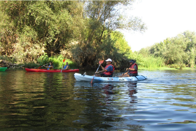 Descenso del Ebro en Kayak (Tarragona)