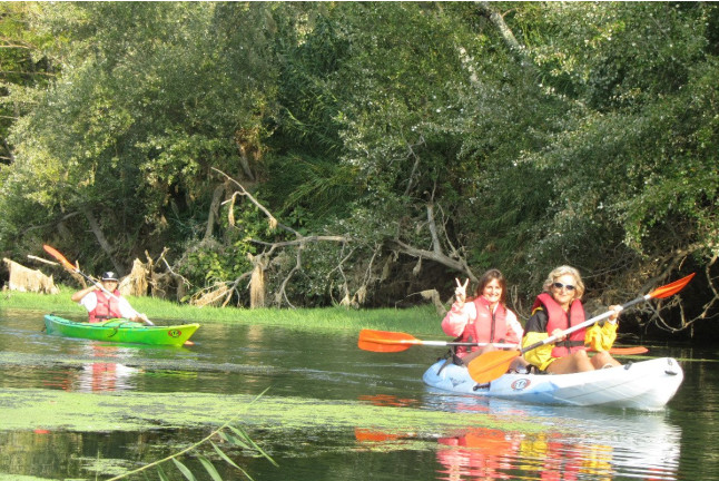 Descenso del Ebro en Kayak (Tarragona)