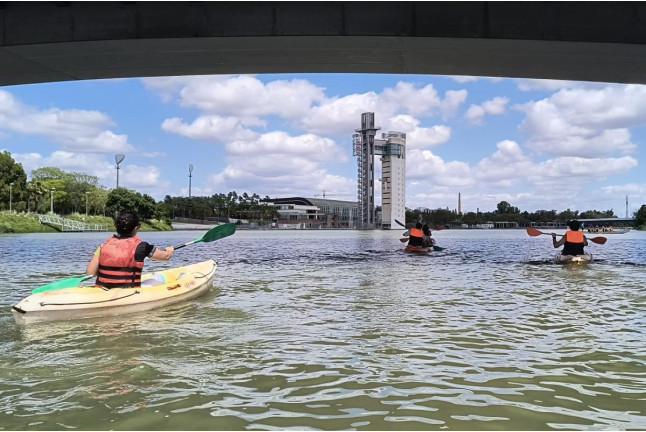 Tour en Kayak por el Río Guadalquivir (Sevilla)