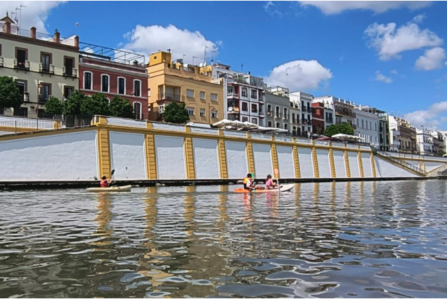 Tour en Kayak por el Río Guadalquivir (Sevilla)