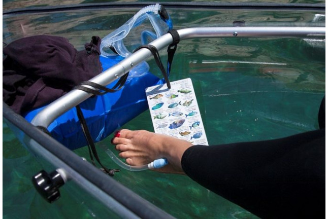 Excursión en Kayak Transparente por la Costa Brava (Girona)