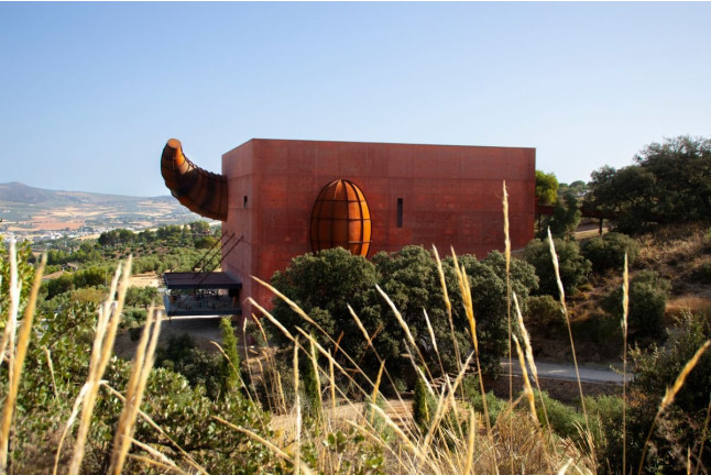 Visita Plus: Visita a LA Almazara y Museo del AOVE con Audioguía y Audiocata (Ronda, Málaga)