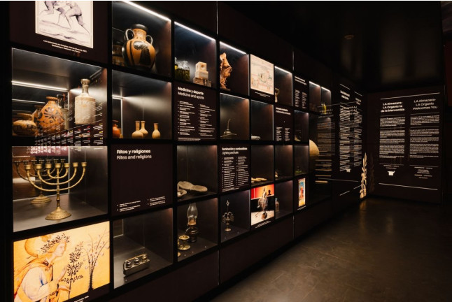 Visita Plus: Visita a LA Almazara y Museo del AOVE con Audioguía y Audiocata (Ronda, Málaga)