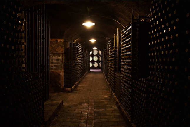 Visita a Bodegas Vinícola Real de La Casa del Cofrade con Cata de Vinos (Albelda de Iregua, La Rioja)