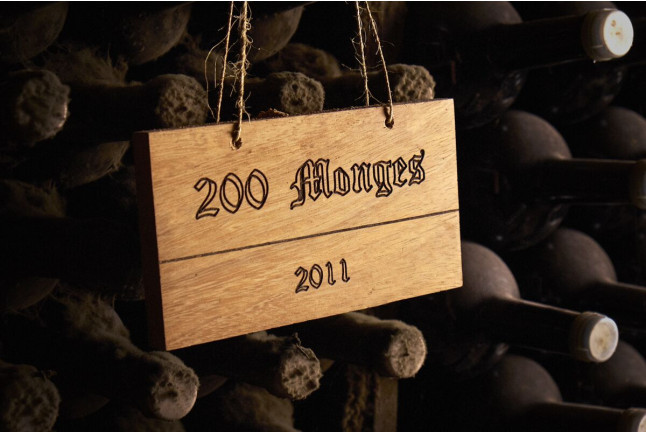 Visita a Bodegas Vinícola Real de La Casa del Cofrade con Cata de Vinos (Albelda de Iregua, La Rioja)
