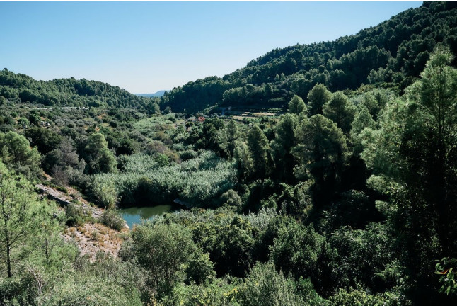 Escapada con Desayuno en Young Hotels Denia (La Vall de Laguar, Alicante)