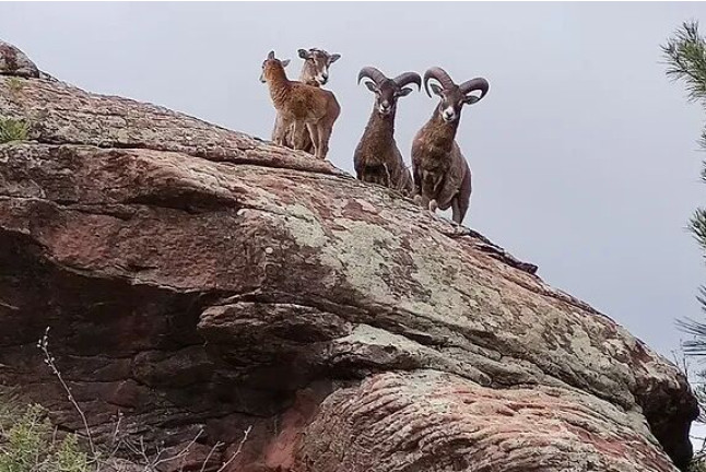 Entrada a Parque de Fauna La Maleza (Albarracín, Teruel)