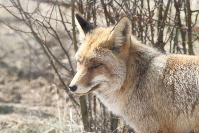 Entrada a La Maleza Parque de Fauna (Teruel)