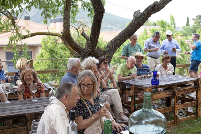 Cata de Miel y/o Hidromiel en Campomiel - La Mielería (Ventosa, La Rioja)