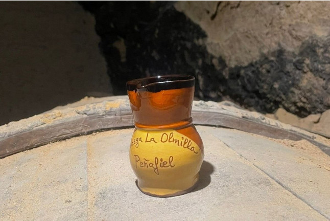 Visita con Espectáculo, Degustación de Vino en Jarrillo de Barro y Aperitivo en Bodega La Olmilla (Peñafiel, Valladolid)