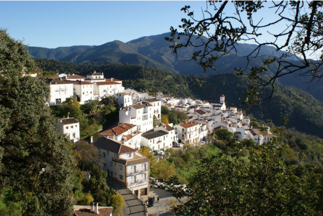 Escapada Rural en La Posada del Recovero (Genalguacil, Málaga)