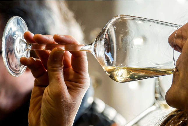 Picnic entre Viñas: Visita, Degustación y Comida para dos en Celler La Vinyeta (Girona)