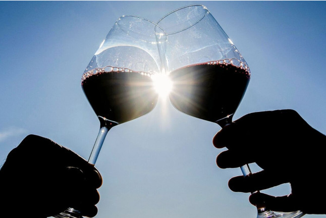 Picnic entre Viñas: Visita, Degustación y Comida para dos en Celler La Vinyeta (Girona)