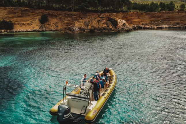 Excursión en Lancha con Avistamiento de Delfines (Can Picafort, Mallorca)