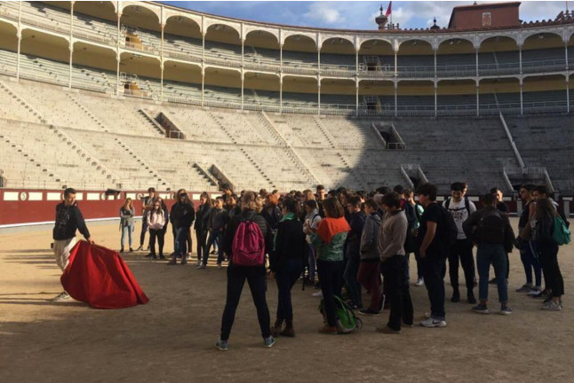 Tour por la Plaza de Toros de Las Ventas y Visita a Museo Taurino (Madrid)