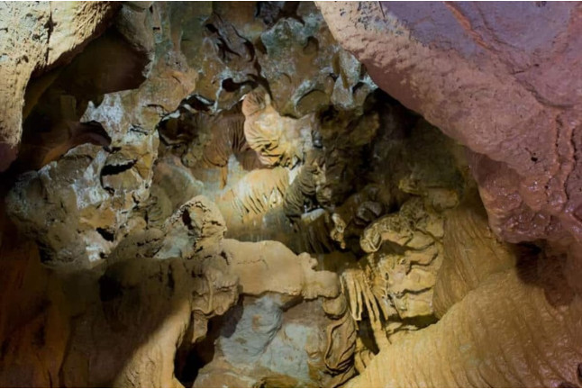 Excursión a Les Coves de Sant Josep desde Valencia (Castellón - Valencia)