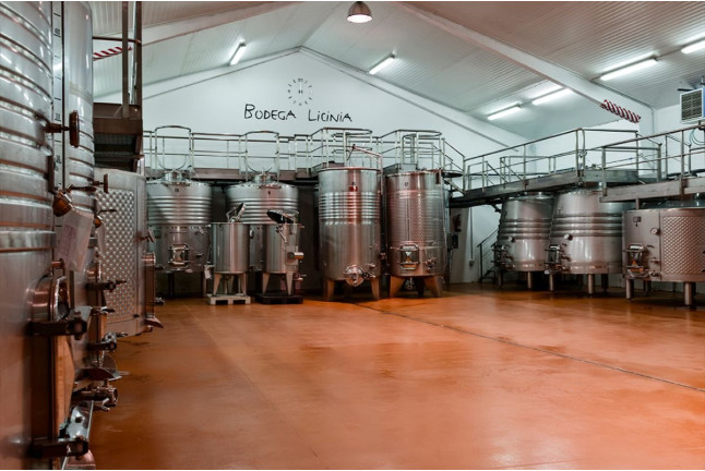 Visita a Bodega, Coupage, Cata de Vinos y Maridaje de Ibéricos en Bodegas Licina (Morata de Tajuña, Madrid)