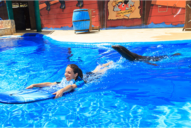 Encuentro con Delfines, Nadar con Leones Marinos o Vip Tour en Mundomar (Alicante)