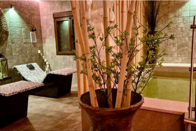 Acceso Privado al Área Wellness para dos en Centro Wellness Los Tilos (Santa María de Riaza, Segovia)