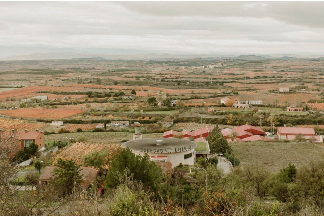 Visita con Cata de Vinos y Aperitivo en Bodegas Luis Alegre (Laguardia, Álava)