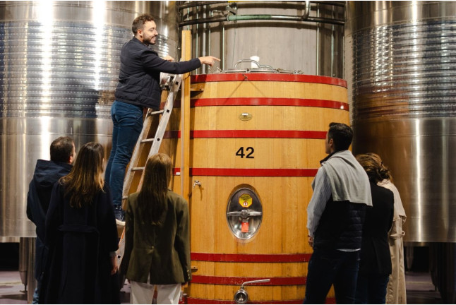 Visita con Cata de Vinos y Aperitivo en Bodegas Luis Alegre (Laguardia, Álava)