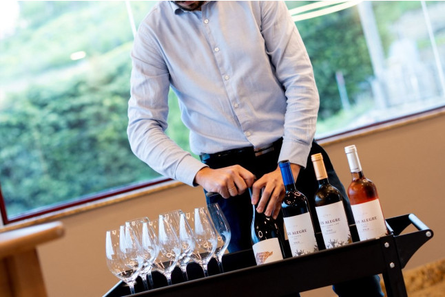 Visita con Cata de Vinos y Aperitivo en Bodegas Luis Alegre (Laguardia, Álava)