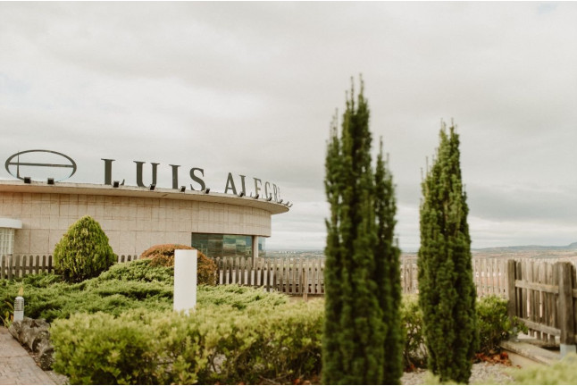 Visita con Cata de Vinos y Aperitivo en Bodegas Luis Alegre (Laguardia, Álava)