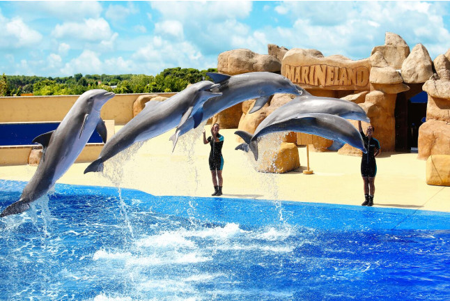 Entrada a Marineland Catalunya (Palafolls, Barcelona)