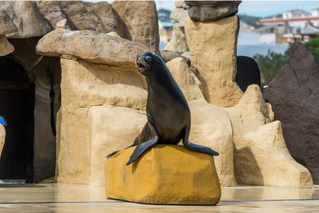Entrada a Marineland Catalunya (Palafolls, Barcelona)