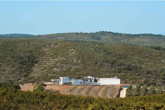 Visita Estándar: Visita Guiada a Bodega Mas de Rander y Viñas con Cata de 4 Vinos (Torreblanca, Castellón)