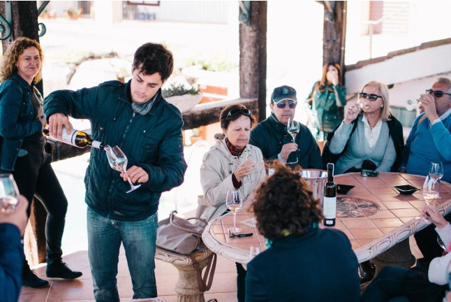 Visita Guiada y Cata de Vino en Celler Mas Vicenç (Cabra del Camp, Tarragona)