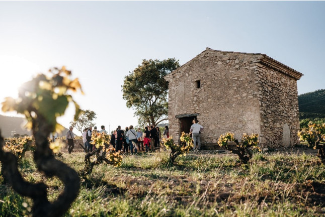 Visita Guiada y Cata de Vino en Celler Mas Vicenç (Cabra del Camp, Tarragona)