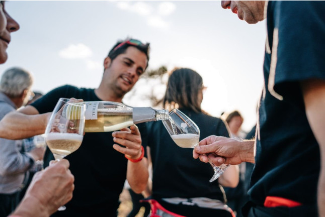 Visita Guiada y Cata de Vino en Celler Mas Vicenç (Cabra del Camp, Tarragona)